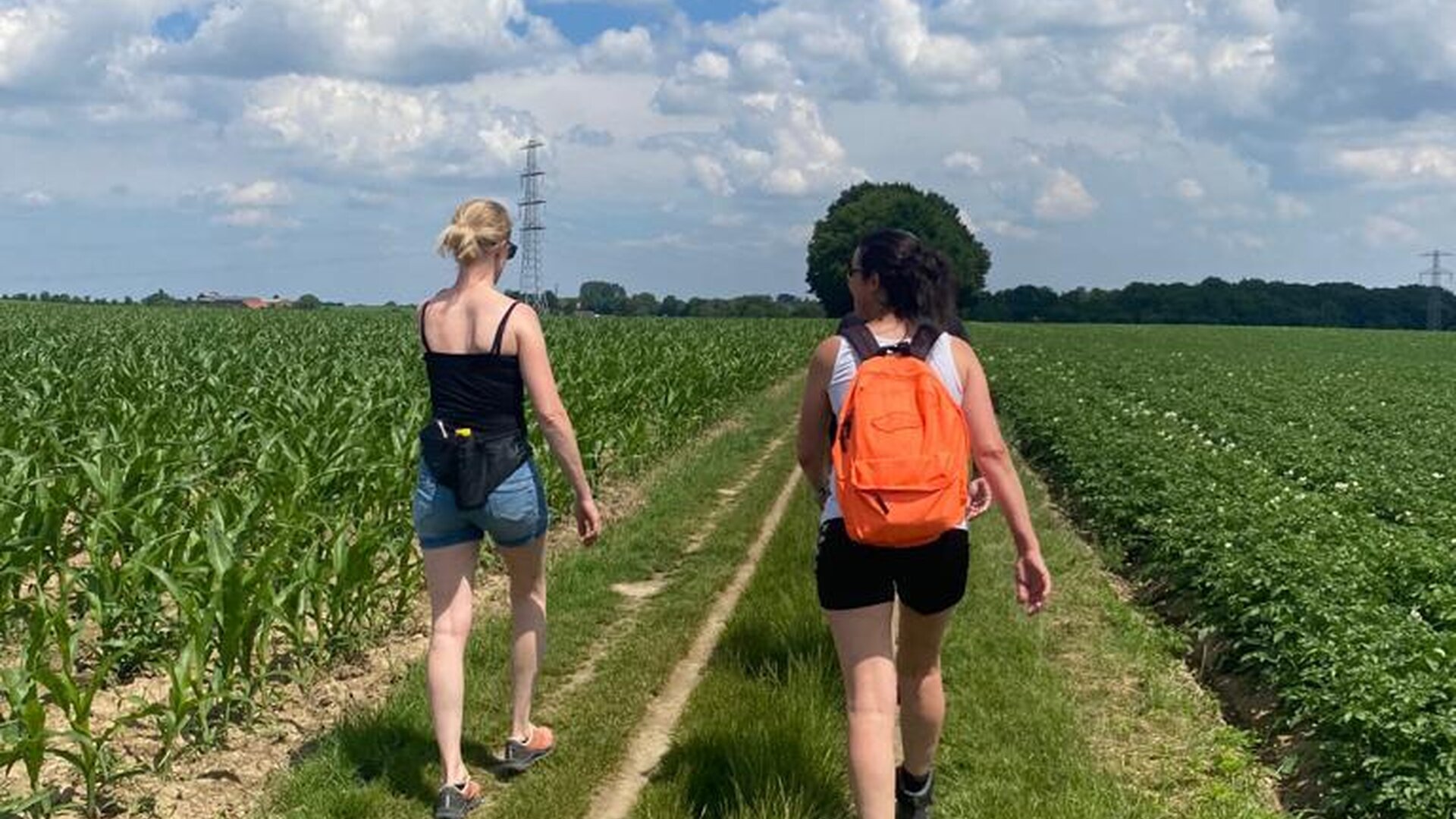 Trainingsdag wandelaar